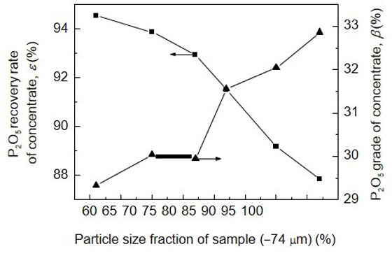Fig.1 Effect of particle size fraction of sample on P2O5 grade and recovery rate of concentrate.jpg